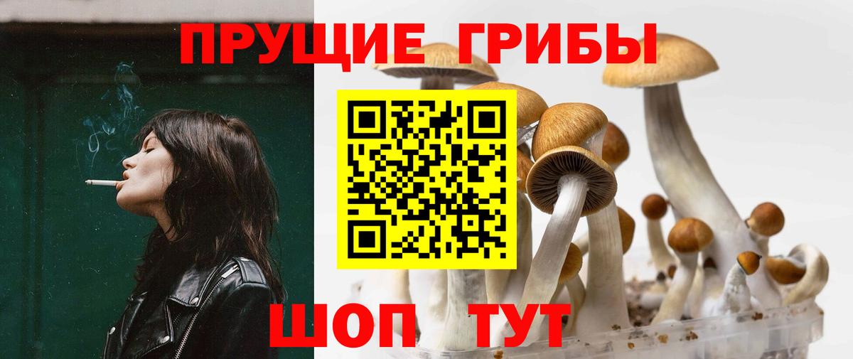 Псилоцибиновые грибы прущие грибы Сызрань